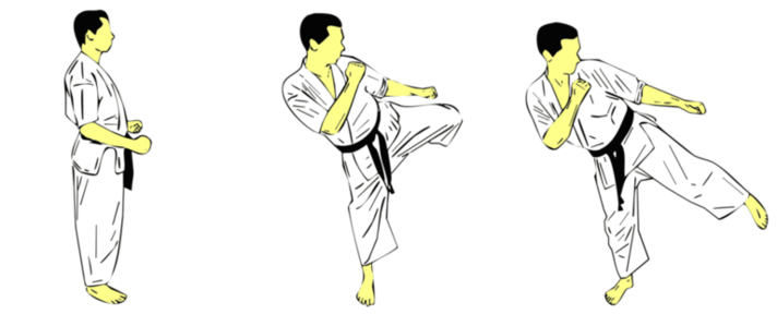 Haisoku Gedan Mawashi Geri — Kyokushin Karate